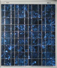 BP 365 65 Watt Solar Panel Module image