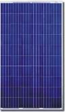 Canadian Solar CS6P-235P 235 Watt Solar Panel Module image