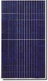 Canadian Solar MaxPower CS6X-260P 260 Watt Solar Panel Module image