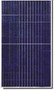 Canadian Solar MaxPower CS6X-280P 280 Watt Solar Panel Module image