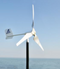 Aeolos-H 500W Wind Turbine