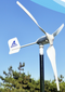 Aeolos-H 500W Wind Turbine