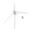 Aeolos-H 2000W 2kW Wind Turbine
