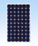 CNPV Power CNPV-230M 230 Watt Solar Panel Module image
