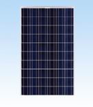 CNPV Power CNPV-230P 230 Watt Solar Panel Module image
