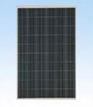 CNPV Power CNPV-240P 240 Watt Solar Panel Module image