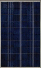 CNPV-245 Watt Solar Panel Module 