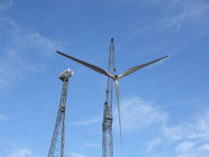 Wind Technik Nord WTN600 Wind Turbine