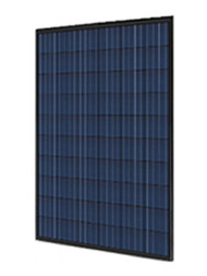 Perlight PLM-260PB-60 260W Poly All Black Solar Panel Module