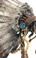 WAR BONNET #702