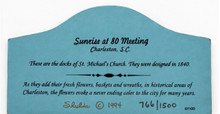 Copy of SUNRISE AT 80 MEETING COL10AP Shelia's MINT GREAT ACCESSORY PIECE Made in Charleston SC