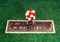 Grave Marker | Single | Bronze