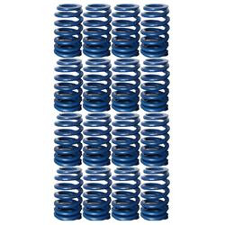 PAC 604 Cheater valve springs