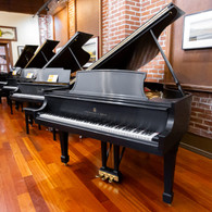 Steinway & Sons L Demo Only