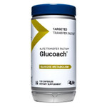  GluCoach