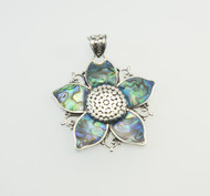 New Zealand Paua Shell