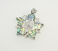 New Zealand Paua Shell