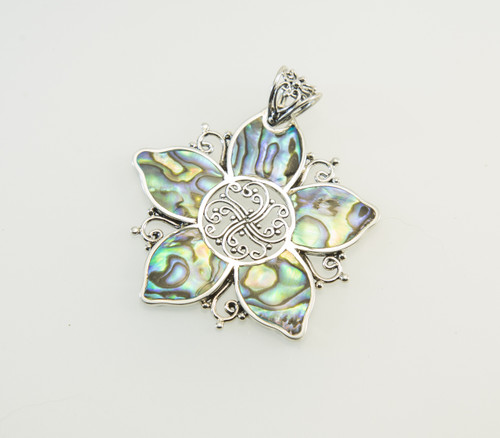 New Zealand Paua Shell