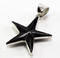 Black Shell Starfish Pendant