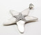 Starfish MOP Pendant