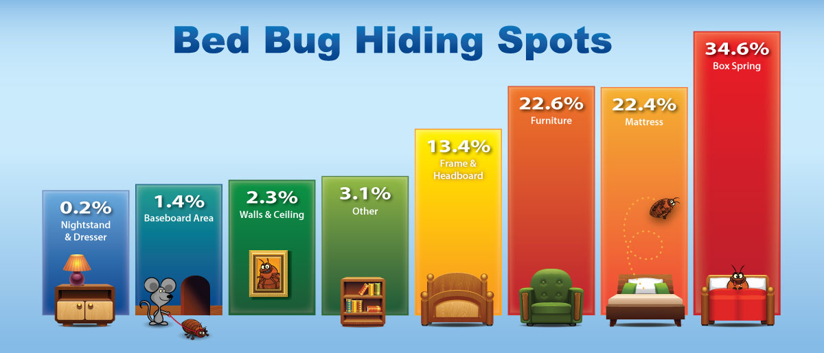 Where do bed bugs hide