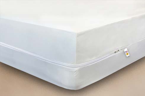 Mattress Safe<sup>®</sup> Box Spring