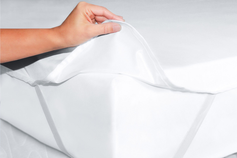 Mattress Safe Simplistic Mattress Protector