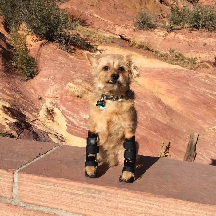 Farley hiking with mom at Red Rocks wearing two carpal braces from Hero Braces