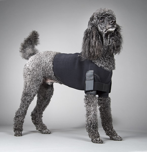 Dog Shoulder Vest and Immobilization 