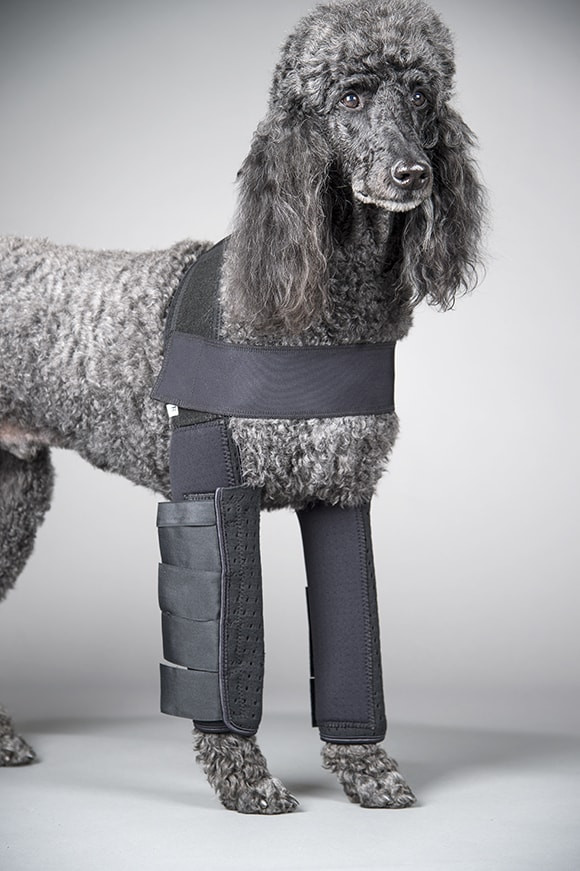Full Length Dog Hygroma Support | Protection & Padding for Dog Elbow Joints