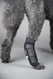 Canine Hock Sock for Rear Wound Coverage