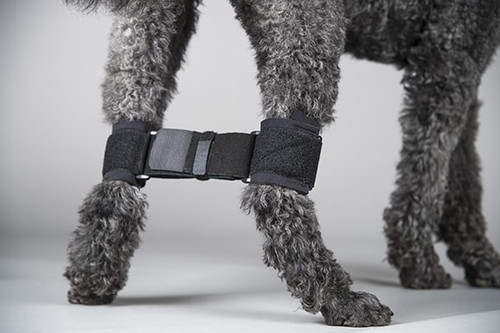 Dog Rear Leg Hobble System Post Surgery Therapy Wrap For