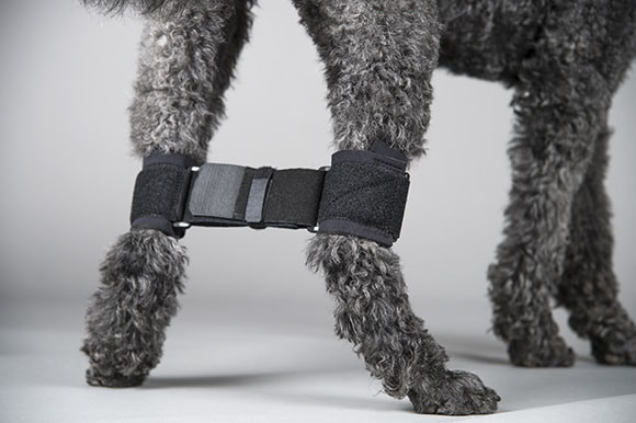 Dog Rear Leg Hobble System | Post Surgery Therapy Wrap For Dogs