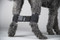 Canine Rear Leg Hobble System