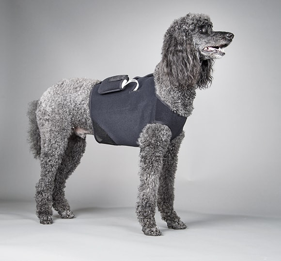 Portable Dog Heart Monitoring Device Harness