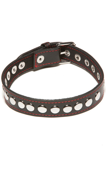 A sassy little collar with rivets. Black with red stitching and buckle closure.