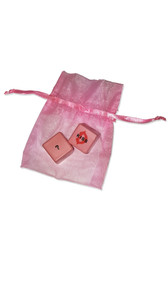 Dirty Dice game with keepsake pink organza bag. Features pink dice, one has body parts listed, the other has actions.