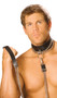 Double chain metal leash with leather handle and leather tab, with snap hook release closure.