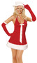 Santa's Honey 3-piece costume includes: velvet halter mini dress with faux fur trim detail, hat and gloves. 