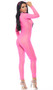 Sheer mesh long sleeve catsuit with back zipper closure.