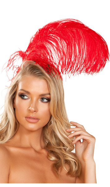 Large feather headband. Headband is covered.