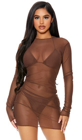 Long sleeve sheer mesh cover up mini dress with high neckline and pullover closure.