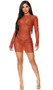 Long sleeve sheer mesh cover up mini dress with high neckline and pullover closure.