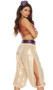 Rags to Royal sexy movie character costume includes sleeveless metallic crop top with wide straps and front button closure, harem style iridescent pants with side slits and tapered legs below the knee, metallic waist sash and fez hat. Four piece set.