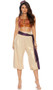 Rags to Royal sexy movie character costume includes sleeveless metallic crop top with wide straps and front button closure, harem style iridescent pants with side slits and tapered legs below the knee, metallic waist sash and fez hat. Four piece set.