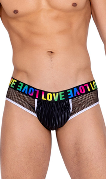Men's pride briefs feature main panel with striped satin-like outside finish, sheer fishnet side panels, contrast white trim, and rainbow LOVE print on elastic waistband.