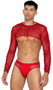 Men's sheer mesh long sleeve crop top with crew neck and binded edges.