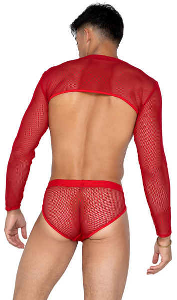 Men's sheer mesh long sleeve crop top with crew neck and binded edges.