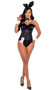 Playboy Boudoir Bunny costume set includes sleeveless and strapless bustier with marabou trim, underwire cups, and back zipper closure with matching panty. Ribbon and cuffs with cufflinks feature the Playboy bunny logo. Collar, bow tie, bunny tail and matching bunny ears headband also included. Nine piece set.