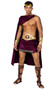 God of Wine costume includes mid length draped velvet asymmetrical cape with head hole (does not fully open), gathered shoulder and detachable gold pin accent. Matching skirted shorts with gold print trim, metallic belt with wine goblet print, and grape headpiece also included. Four piece set.